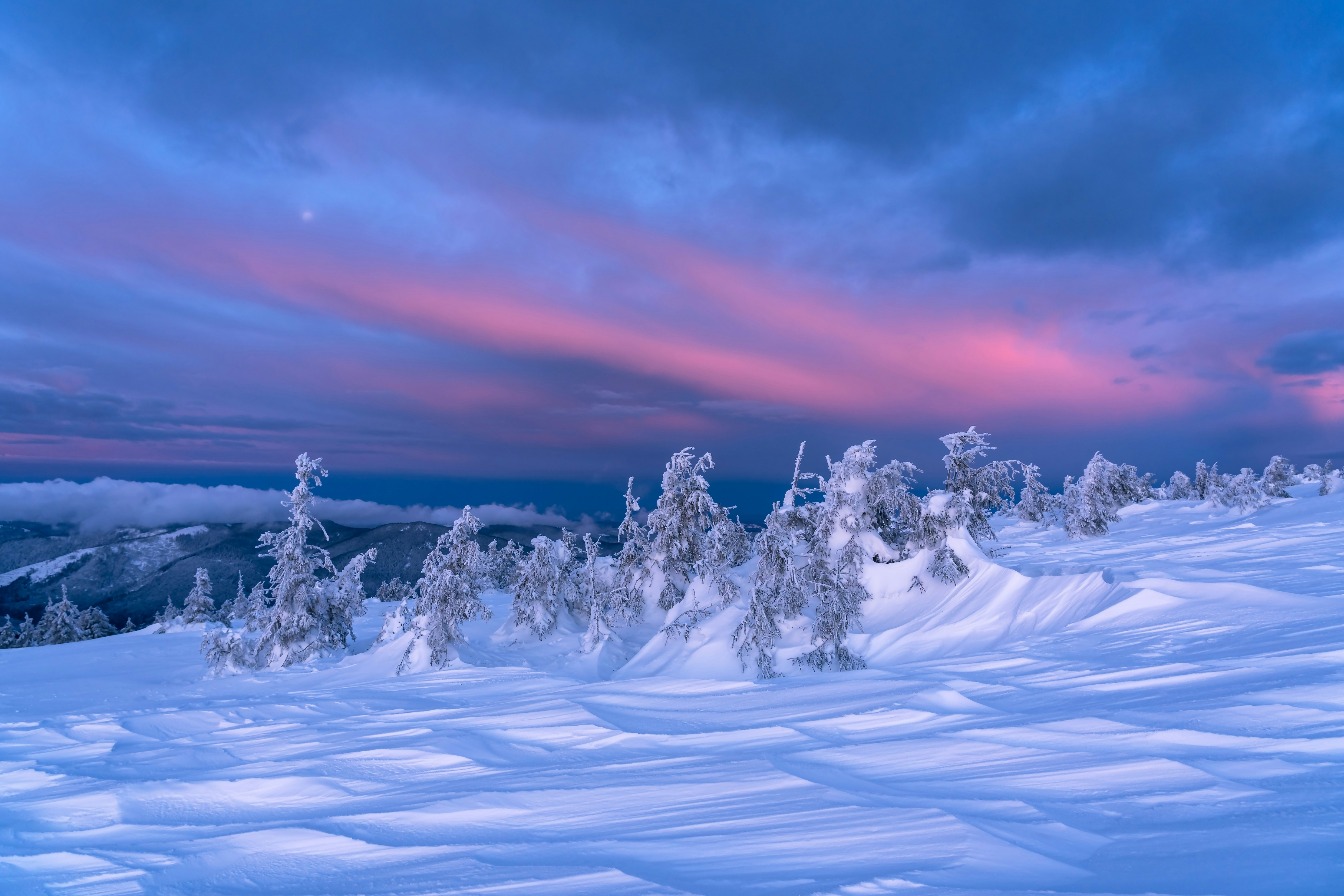 Dark blue winther sky with white snow